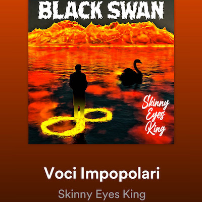 Copertina Voci Impopolari