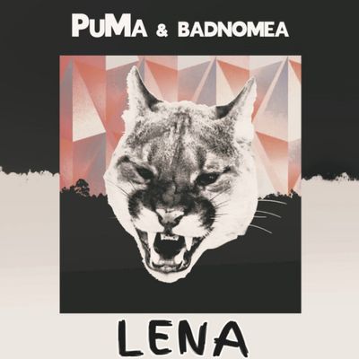 Copertina LENA