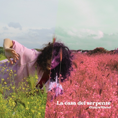 Copertina LA CASA DEL SERPENTE