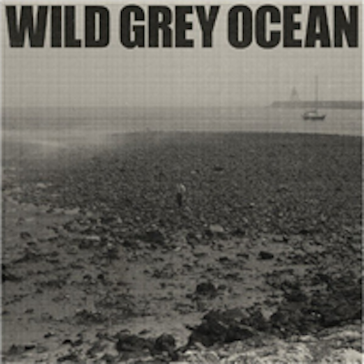 Copertina Wild Grey Ocean