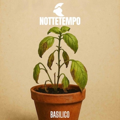 Copertina Basilico