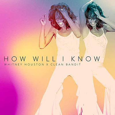 Cover di How Will I Know