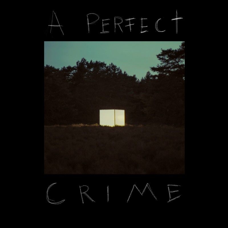 Copertina A Perfect Crime