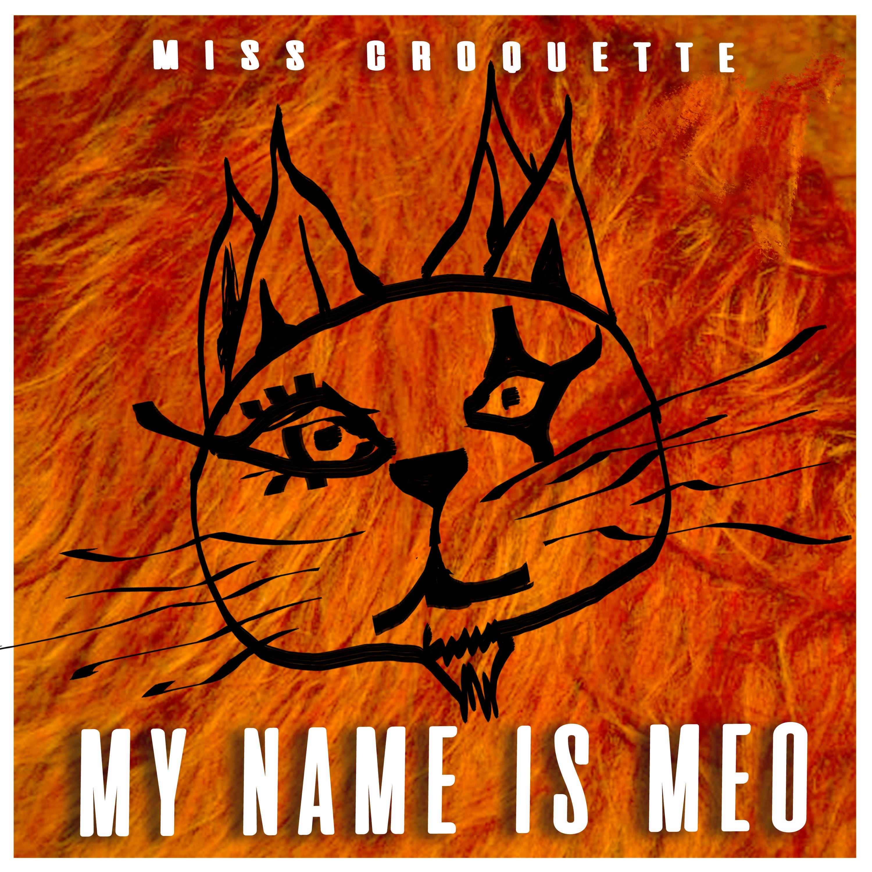 Copertina My name is Meo