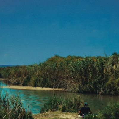 Copertina l'ultimo coccodrillo