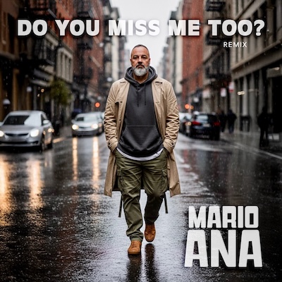 Copertina Do you miss me too? [Remix]