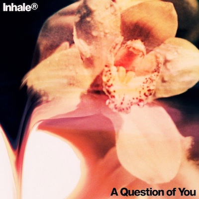 Copertina A question of you