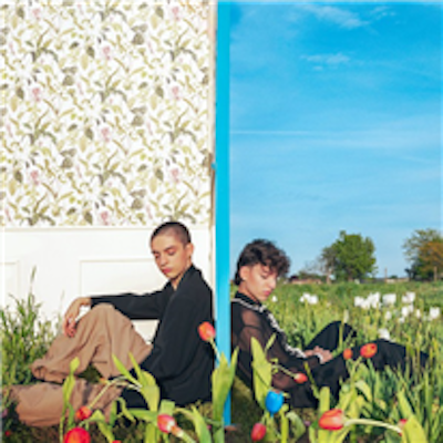 Copertina Tulipani blu