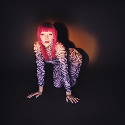 Copertina A Little Bit Wild