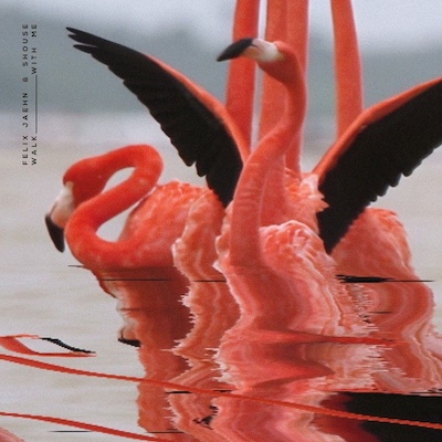 Copertina Walk With Me