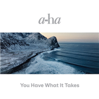 Copertina You Have What It Takes