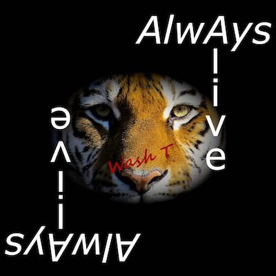 Copertina Always Alive