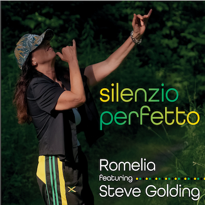 Copertina Silenzio Perfetto