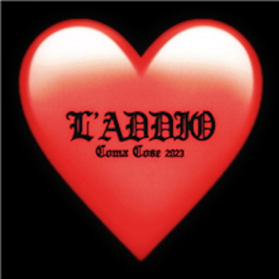 Copertina L'addio