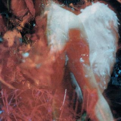 Copertina Stray
