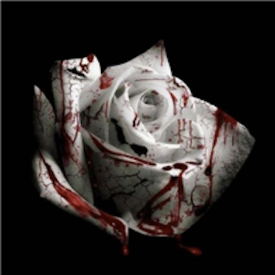 Copertina Romantic Homicide