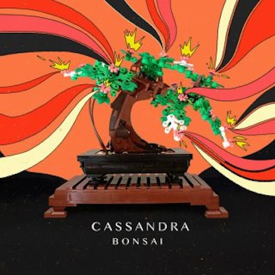 Copertina Bonsai