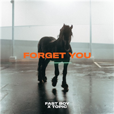 Copertina Forget You
