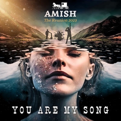Copertina You are my song