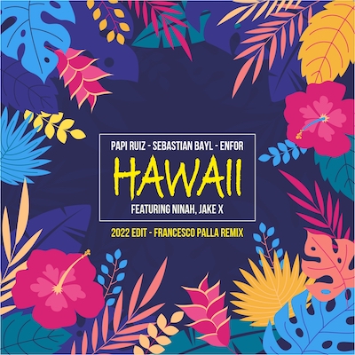 Copertina Hawaii (Francesco Palla Radio Remix)