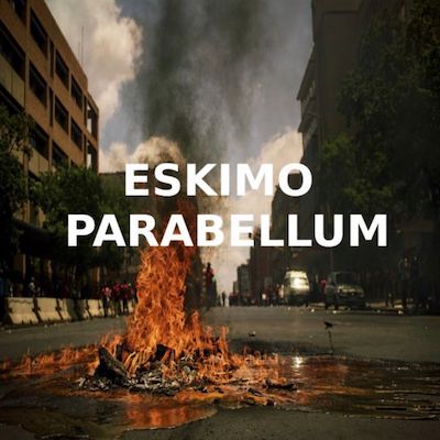 Copertina Parabellum