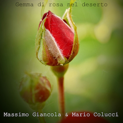 Copertina Gemma di rosa nel deserto