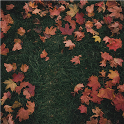 Copertina October Passed Me By