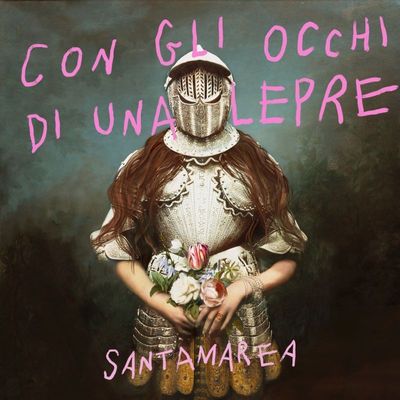 Copertina Con gli occhi di una lepre Santamarea