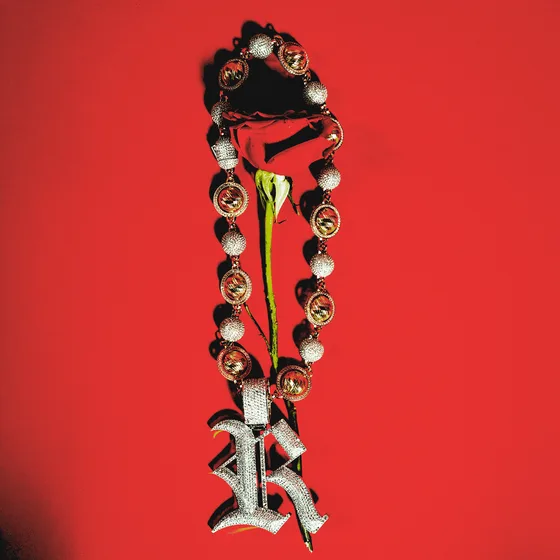 Cover di LA SAPI&Oacute;