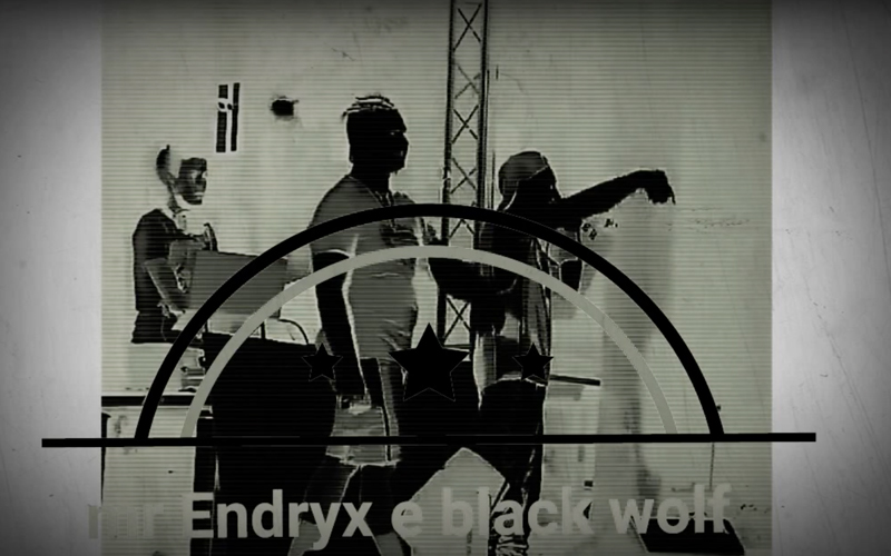 Mr Endryx